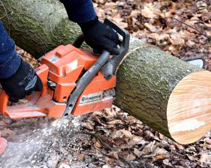 TREE REMOVAL